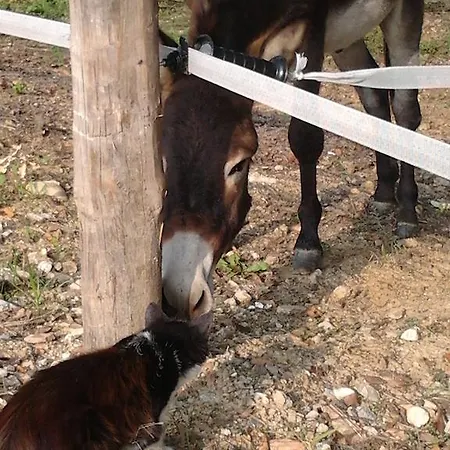Vakantieboerderij Cascina Monchiero *