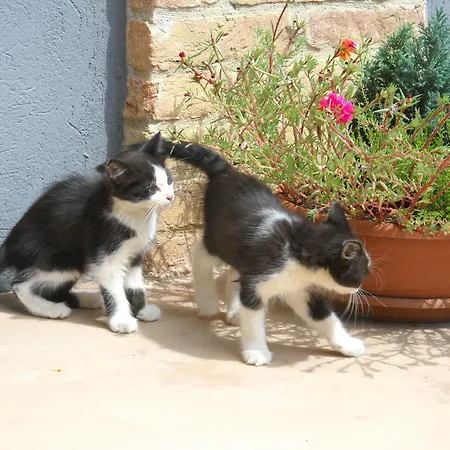 Cascina Monchiero בית חווה *