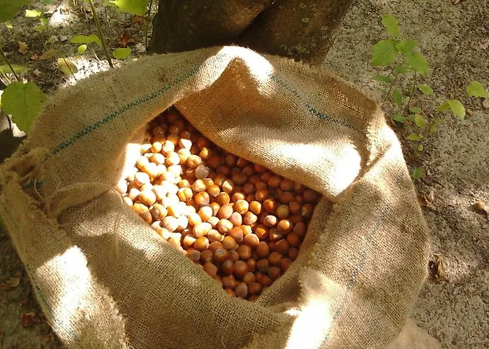 Cascina Monchiero Farma