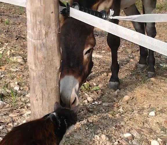 Farma Cascina Monchiero *