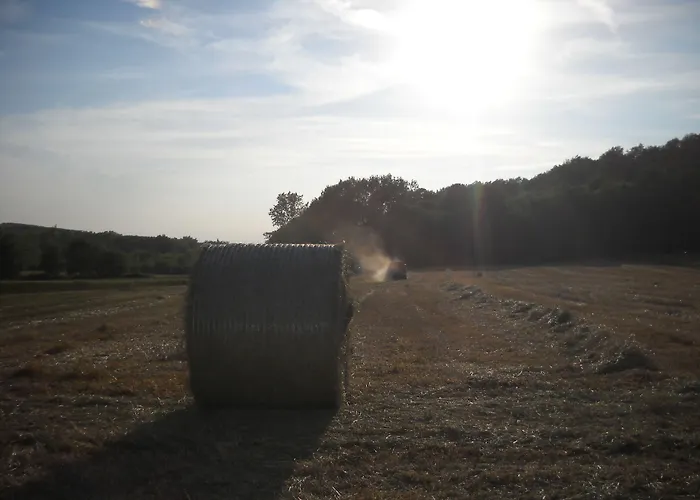 Farma Cascina Monchiero *